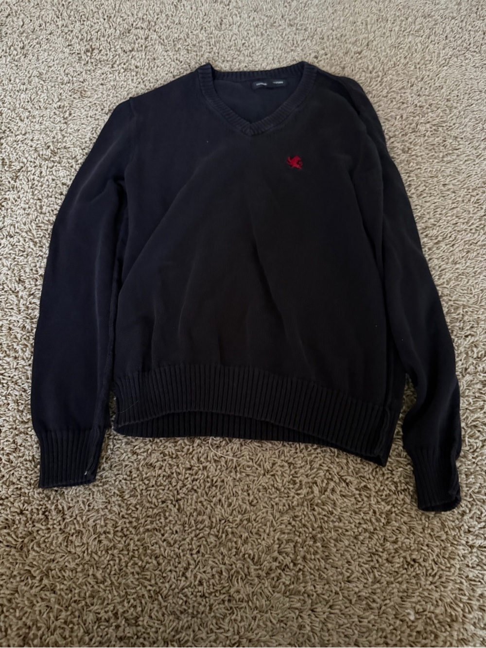 men’s express navy sweater